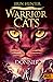 Donner (Warrior Cats: Ein sternenloser Clan, #4)