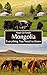 Mongolia: Everything You Ne...