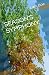 SEASON'S SYMPHONY