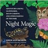 Night Magic: Adve...
