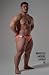 マッチョ写真集「Muscle Model Japan ...