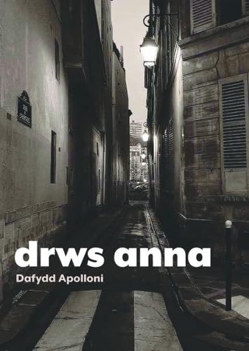 Drws Anna (Paperback)