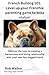 French Bulldog 101: Level Y...