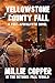 YELLOWSTONE COUNTY FALL