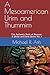 A Mesoamerican Urim and Thummim by Michael R. Ash