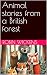 Animal stories from a Briti...