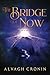 The Bridge Of Now by Alvagh Cronin