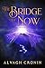 The Bridge Of Now
