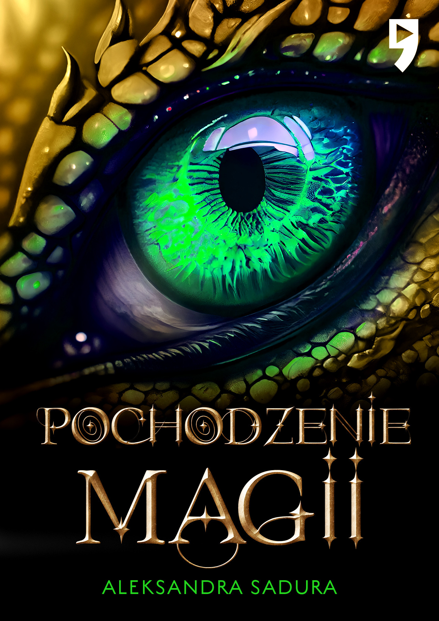 Pochodzenie magii (Czas Zakonu, #1)