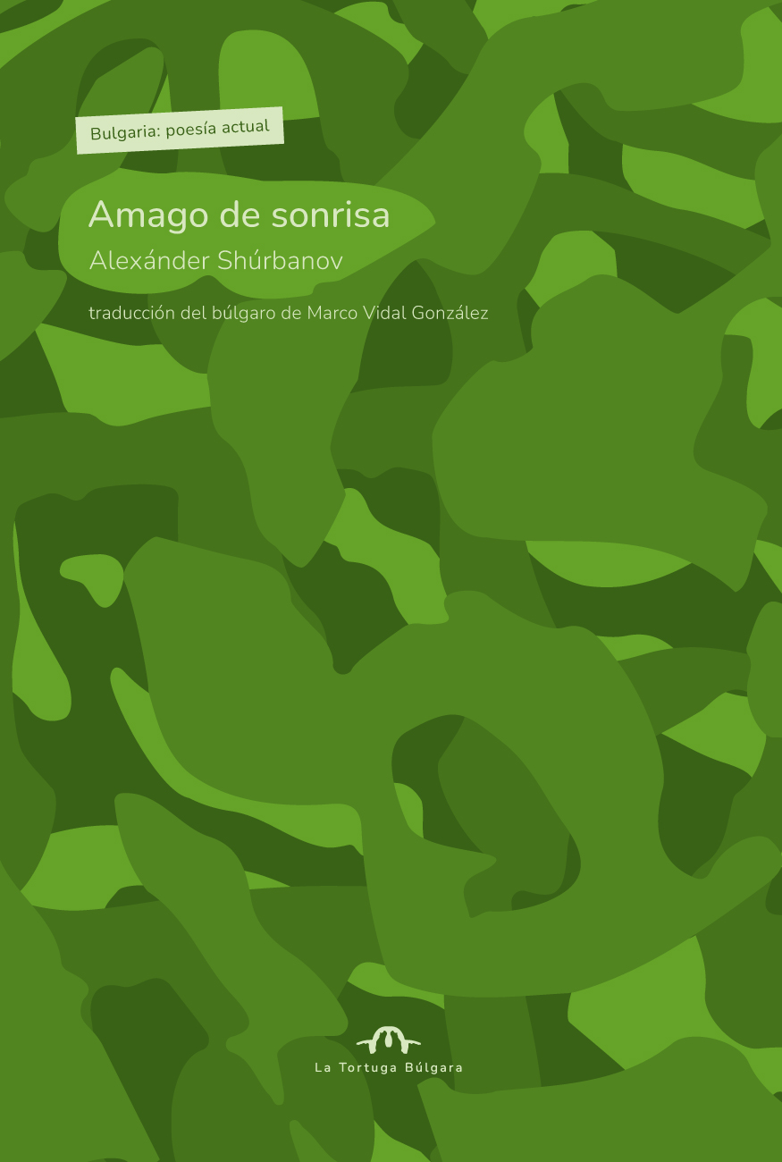Amago de sonrisa (Paperback)