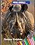Nepal Animals Educational C...