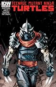 Teenage Mutant Ninja Turtles (2011-2024) #10