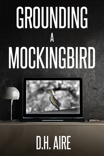 Grounding a Mockingbird (Kindle Edition)