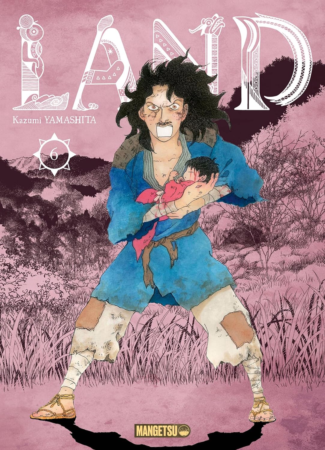 Land T06