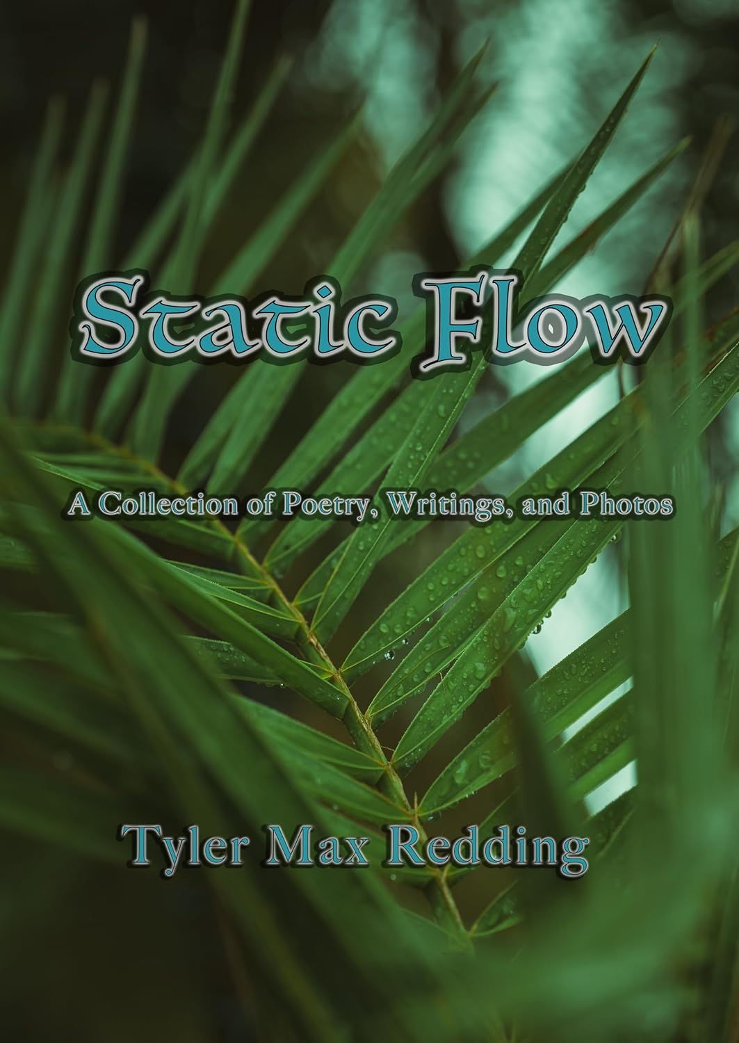 Static Flow (Poetic Spirit: A Collection of Poetry, Writings, and Photos Book 2)