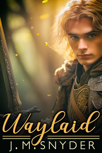 Waylaid (Kindle Edition)