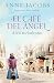 Años turbulentos (El Café del Ángel, #2)