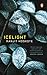 Icelight by Ranjit Hoskote