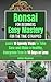 Bonsai for Beginners by Ashley Meadows