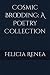 Cosmic Brooding: A Poetry Collection