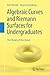 Algebraic Curves and Riemann Surfaces for Undergraduates: The Theory of the Donut
