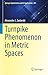 Turnpike Phenomenon in Metric Spaces (Springer Optimization and Its Applications Book 201)