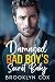 Damaged Bad Boy's Secret Baby