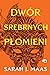 Dwór srebrnych płomieni by Sarah J. Maas
