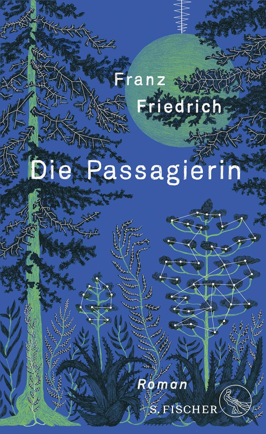 Die Passagierin (Kindle Edition)