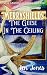 Merryshields: The Geese In ...