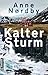 Kalter Sturm (Tom Skagen, #4)
