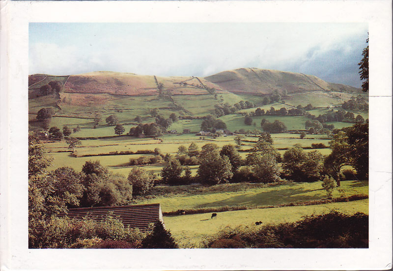 Catgut and Blossom: Jonathan Williams in England