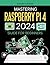 Mastering Raspberry Pi 4 (2...