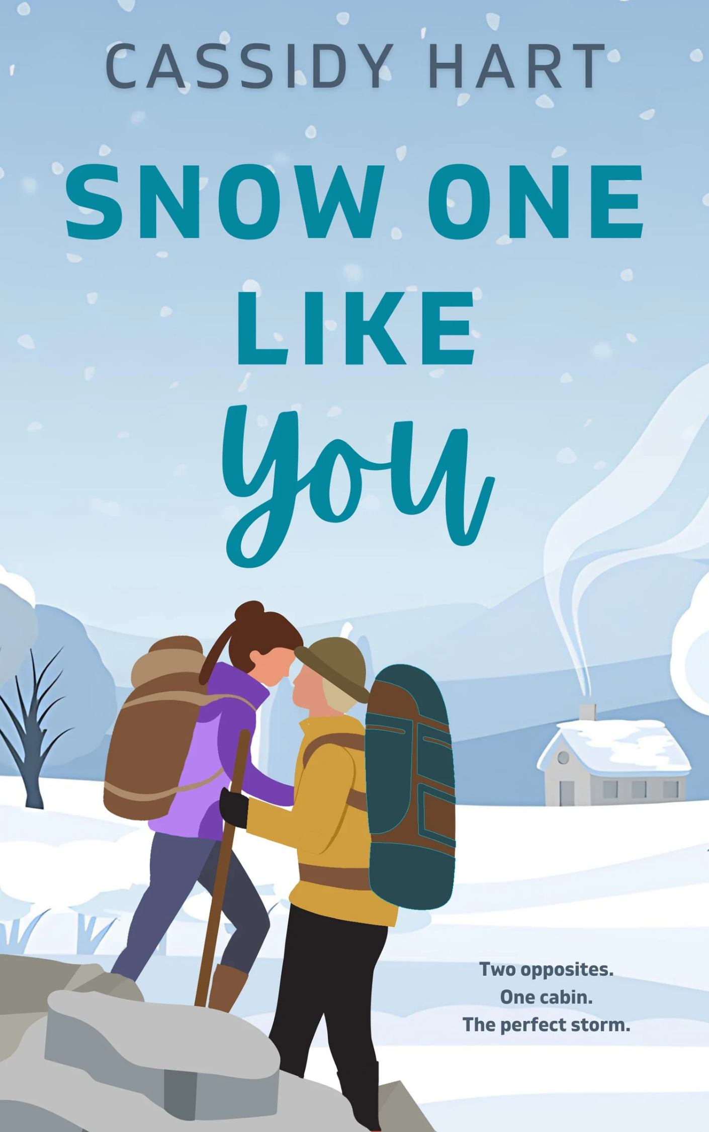 Snow One Like You (The Meet Cute Series)