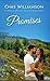 Promises: A Women's Christian Second-Chance Novel (South Mountain Journeys of Faith Book 2)