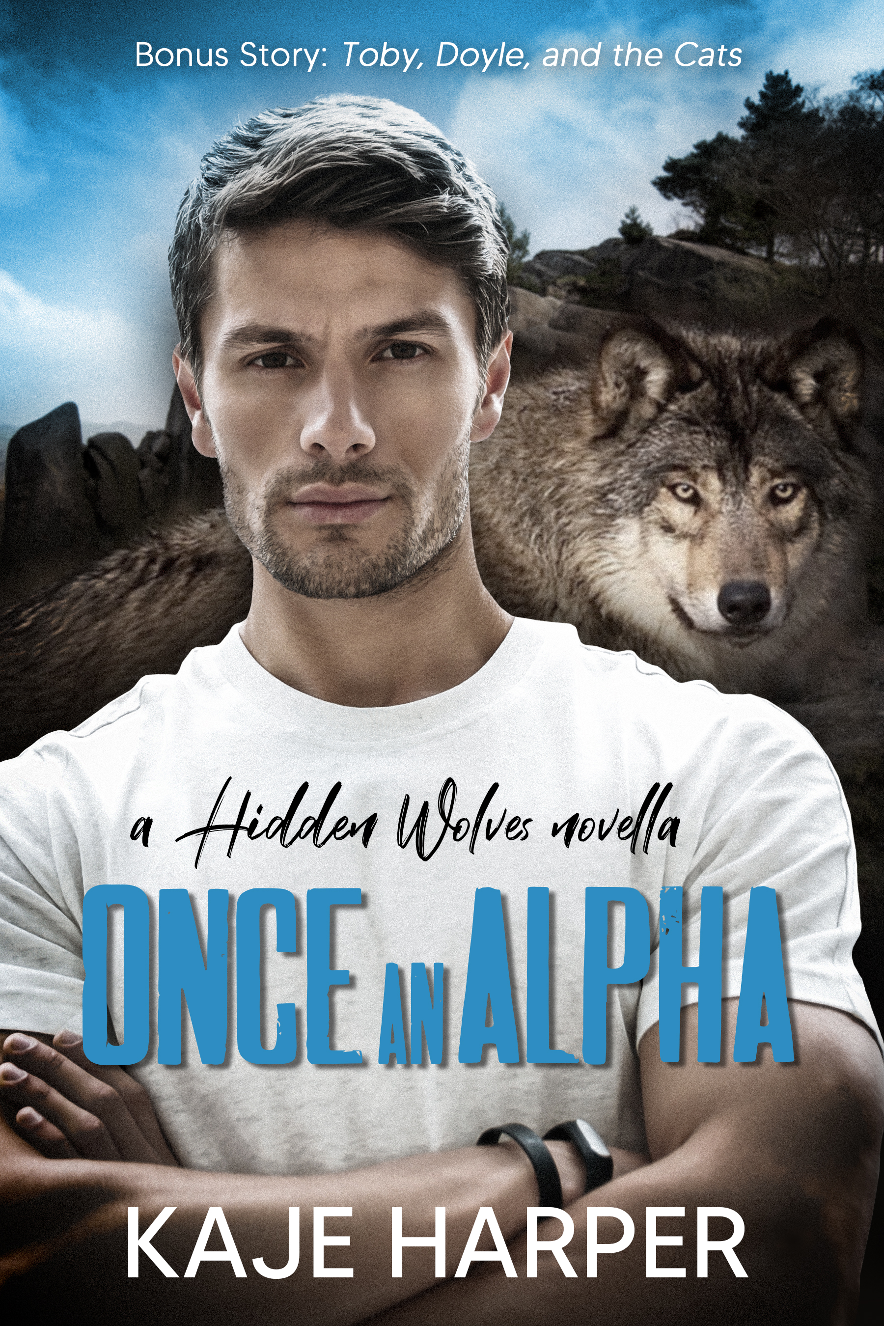 Once an Alpha (Hidden Wolves #0.6)