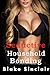 Seductive Household Bonding by Blake Sinclair