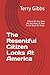 The Resentful Citizen Looks At America by Terry Gibbs