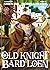 Old Knight Bard Loen - Tome 02 by Shien Bis