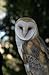 An Occurrence at Owl Creek Bridge And Other Stories