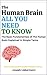 The Human Brain: All You Ne...