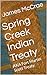 Spring Creek Indian Treaty by James McCrae