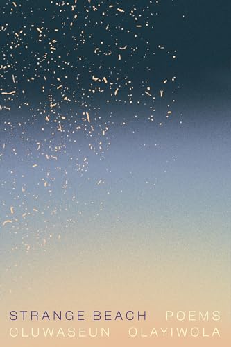 Strange Beach: Poems (Paperback)