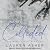 Collided (Dirty Air, #2)
