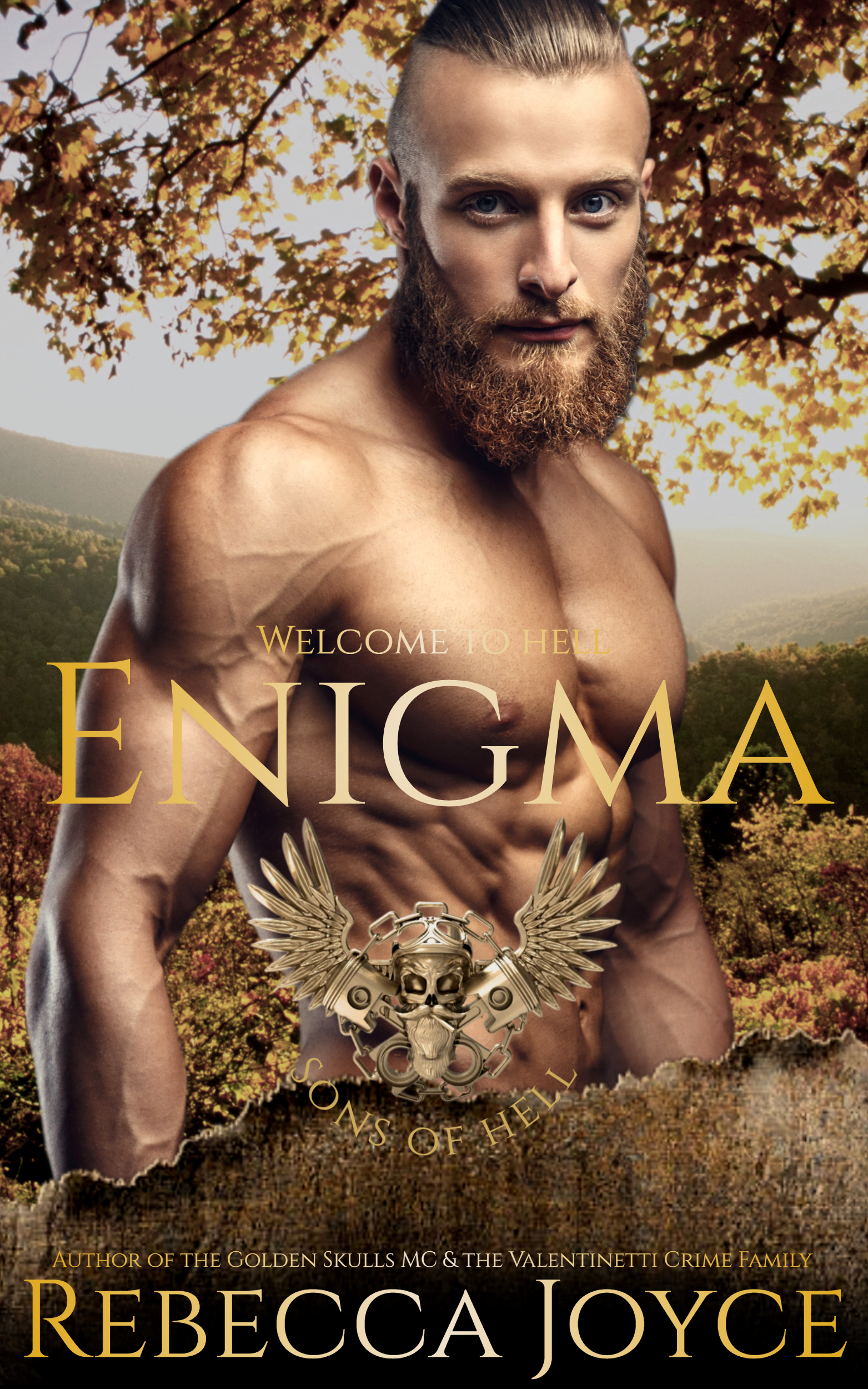 Enigma (Sons of Hell MC #6)