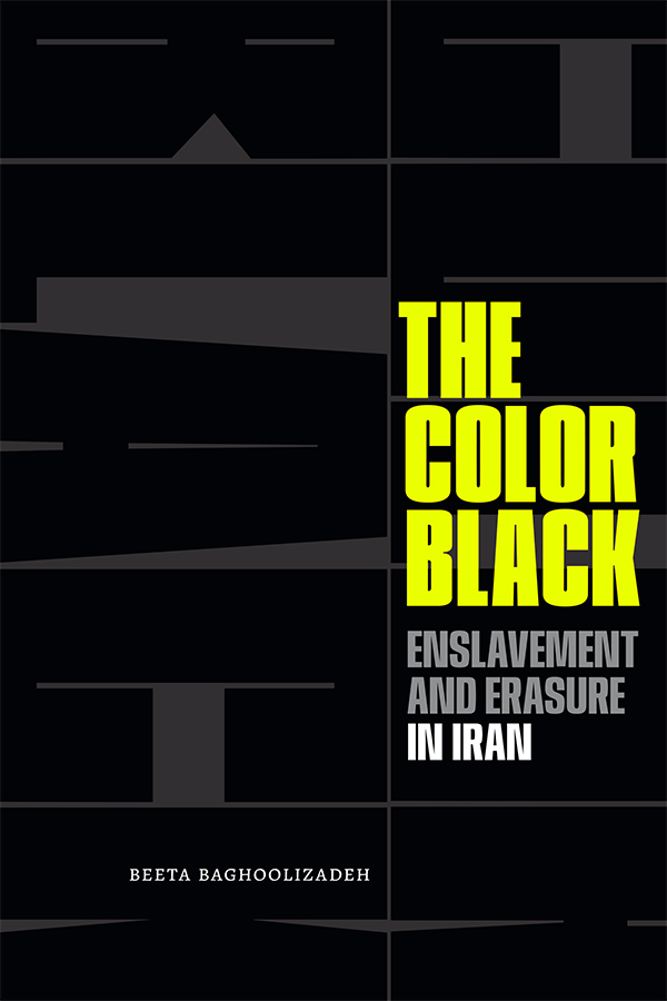 The Color Black: Enslavement and Erasure in Iran (Paperback)