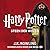 Harry Potter en de Steen de...