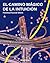 El Camino Mágico de la Intuición (Biblioteca Scovel Shinn nº 5) (Spanish Edition)