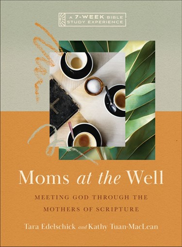 Moms at the Well: Meeting God Through the Mothers of Scripture―A 7-Week Bible Study with Video Access (IVP Bible Study Experience)