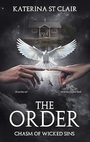 Chasm of Wicked Sins (The Order #3)
